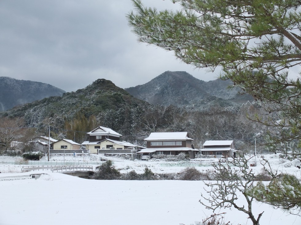 大平峯雪​の画像