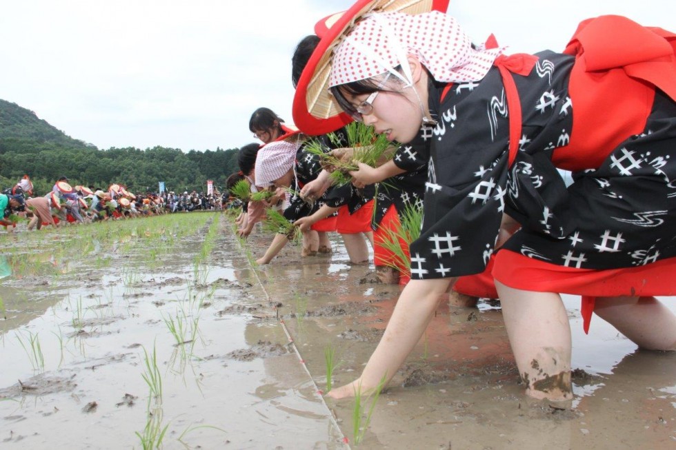 ようこそ荘園の里へ～田染荘御田植祭～の画像19