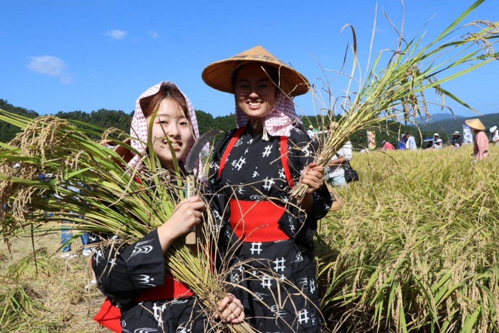 “実りの秋”を迎えた田染荘で稲刈り交流ー第20回田染荘収穫祭ーの画像1