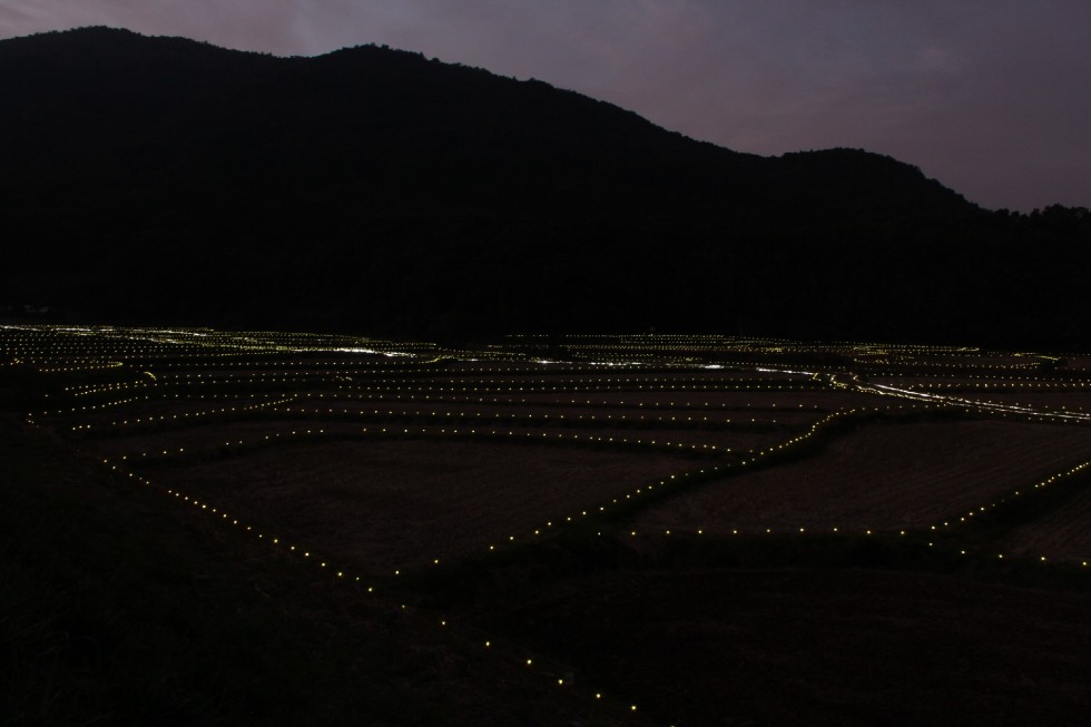 壮大な光のイベント ～田染荘 千年のきらめき～ 始まるの画像24
