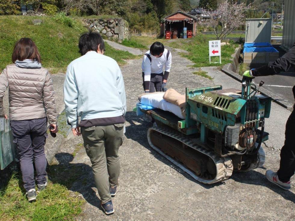 700年前の姿を取り戻す　　～富貴寺境内（国史跡）石造物の保存修理が行われました～の画像4