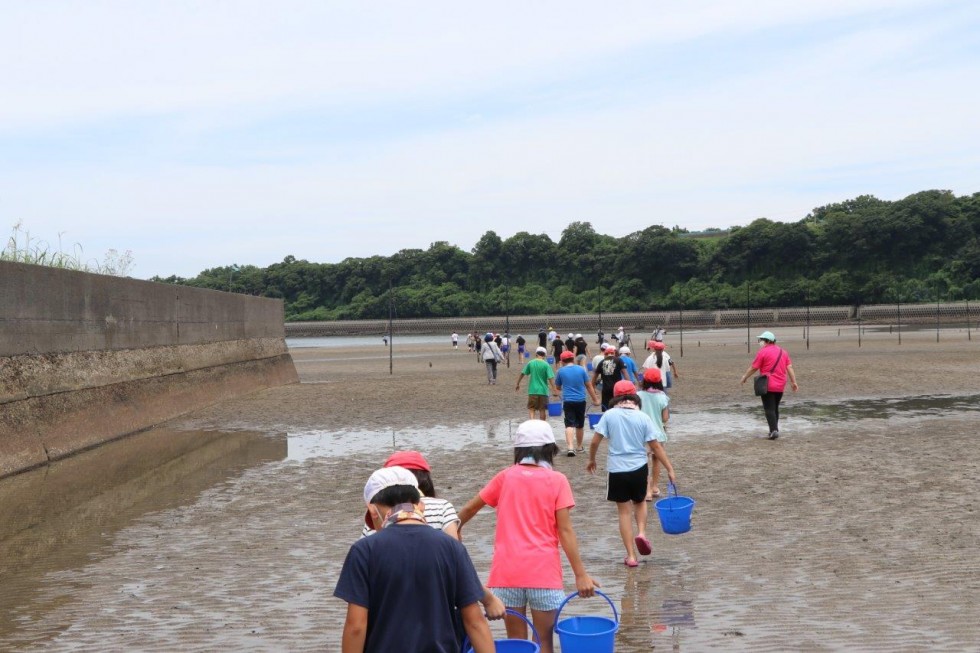 大きくなって戻ってきてね！～香々地小 稚ガニの放流～の画像8