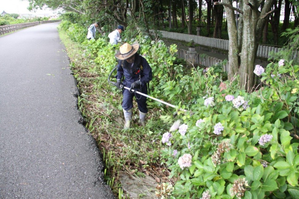 40年以上続く地道な活動に感謝～豊後高田ロータリークラブ・若宮あじさい剪定～の画像1