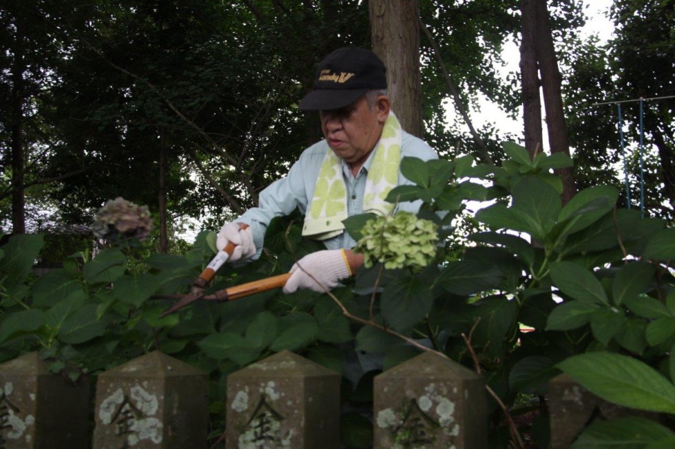 40年以上続く地道な活動に感謝～豊後高田ロータリークラブ・若宮あじさい剪定～の画像4