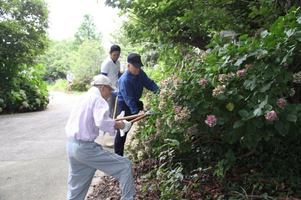 40年以上続く地道な活動に感謝～豊後高田ロータリークラブ・若宮あじさい剪定～の画像7