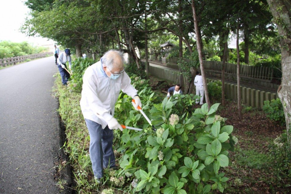 40年以上続く地道な活動に感謝～豊後高田ロータリークラブ・若宮あじさい剪定～の画像8