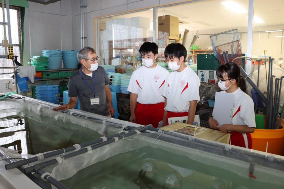  将来の仕事に向けて　～高田高校生による職場体験学習～の画像7