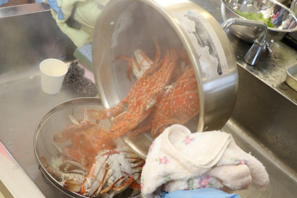 地元の特産品「岬ガザミ」を使った料理教室　－香々地中学校－の画像8