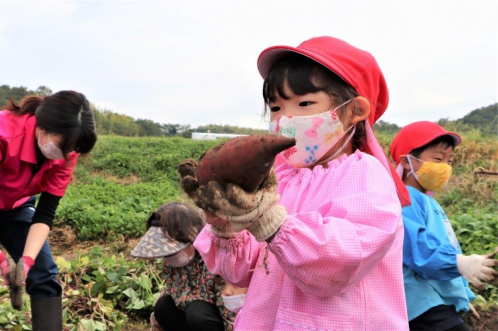 地域の老人クラブと“いもほり”で楽しく交流♪　－キラリいろ幼稚園－の画像5