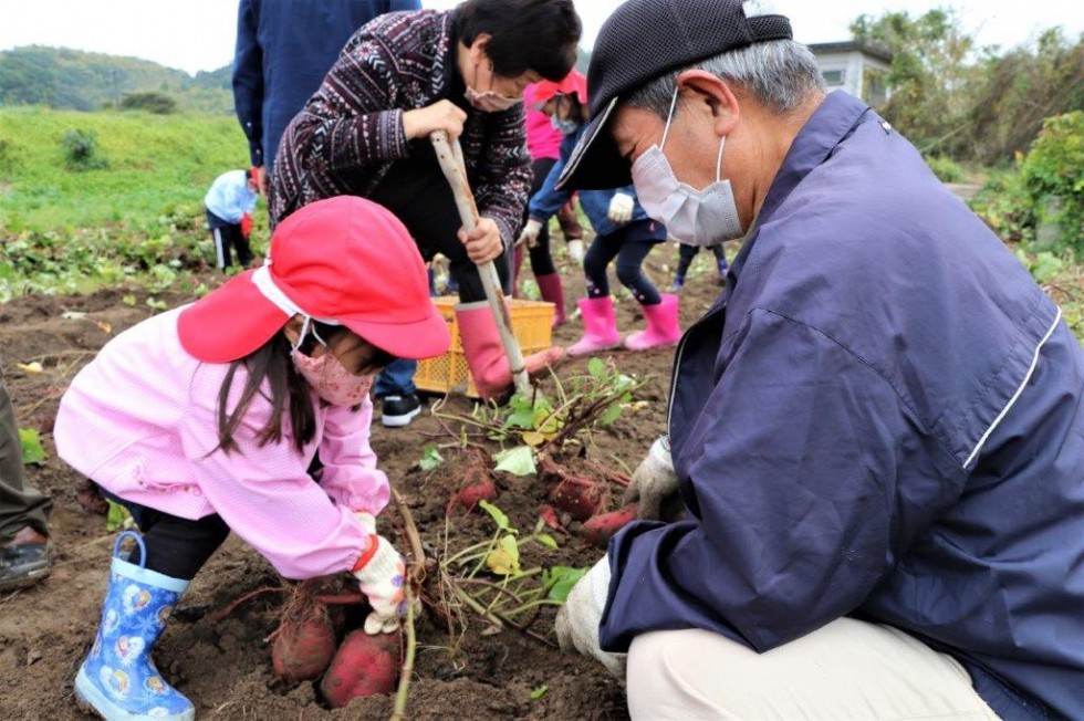 地域の老人クラブと“いもほり”で楽しく交流♪　－キラリいろ幼稚園－の画像8