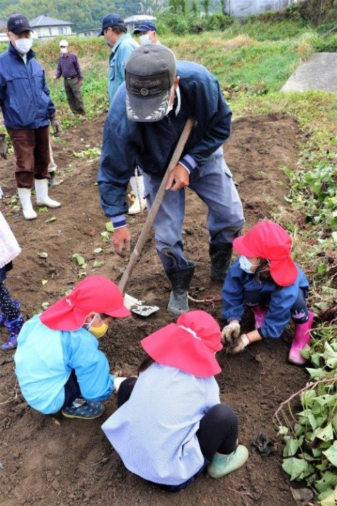 地域の老人クラブと“いもほり”で楽しく交流♪　－キラリいろ幼稚園－の画像13