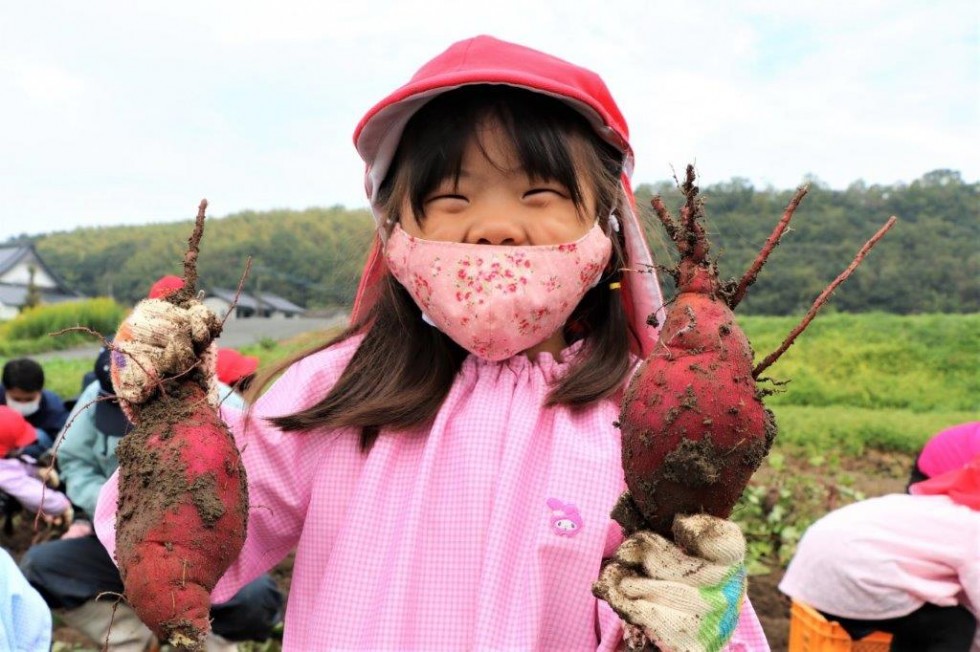 地域の老人クラブと“いもほり”で楽しく交流♪　－キラリいろ幼稚園－の画像15