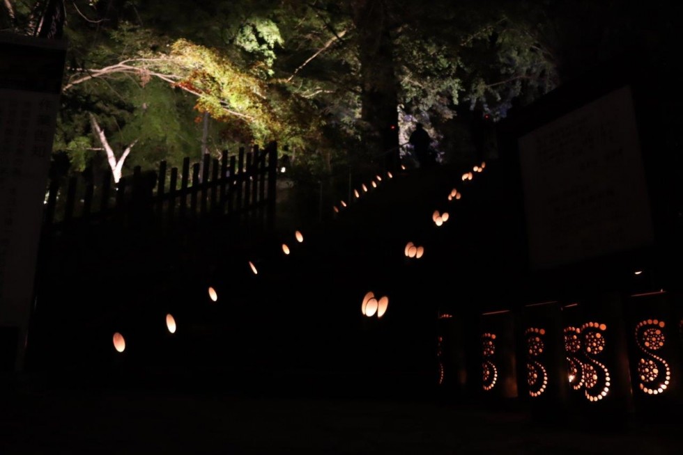 ライトアップされた富貴寺大堂で幻想的なひとときを　～メゾソプラノ＆リュート　創作日本舞踊の夕べ～の画像12