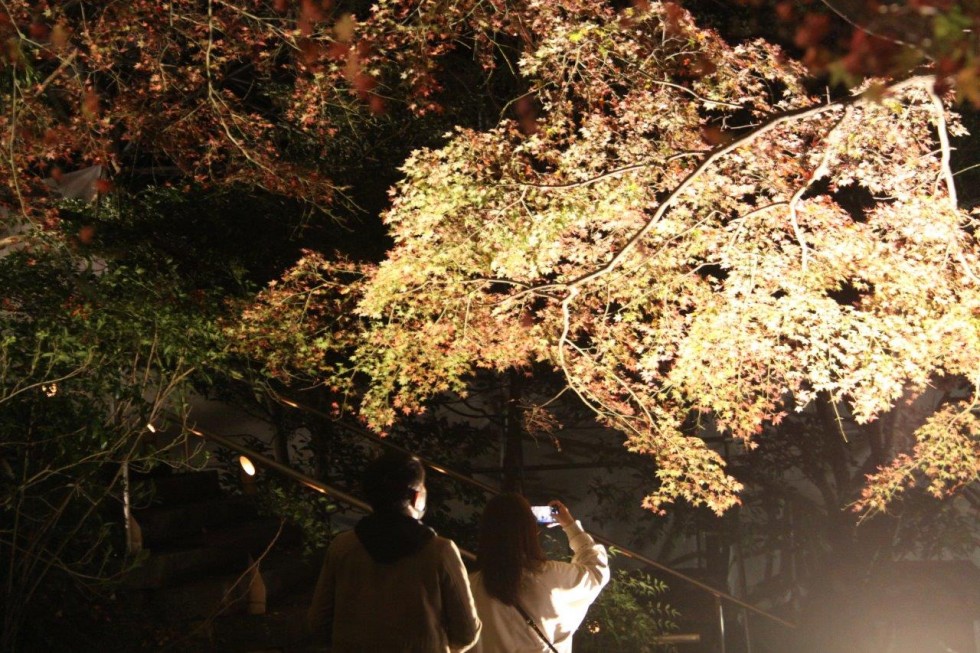 幻想的な光で魅了～国宝・富貴寺大堂ライトアップ～の画像10