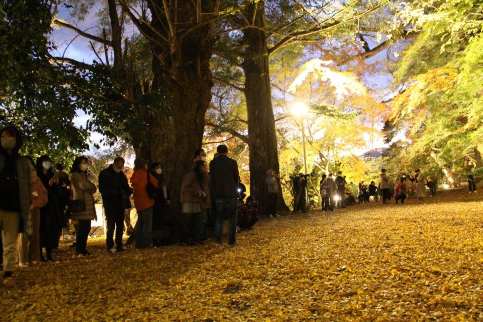 幻想的な光で魅了～国宝・富貴寺大堂ライトアップ～の画像11