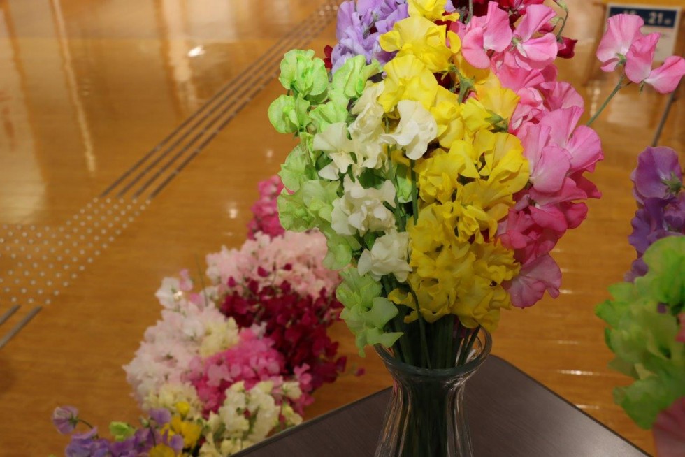 感謝の気持ちを伝えるきっかけに　～”花を贈る”フラワーバレンタイン～の画像14