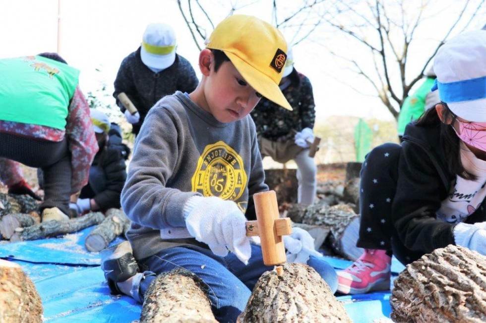 循環する農業を学ぶ　～もみじ村しいたけコマ打ち体験～の画像12