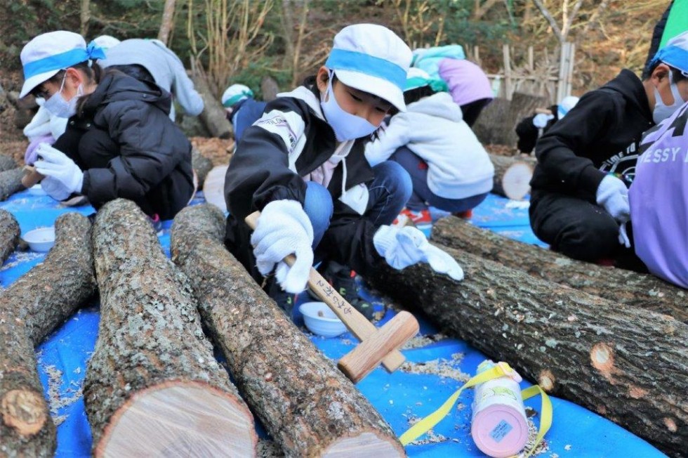 循環する農業を学ぶ　～もみじ村しいたけコマ打ち体験～の画像14