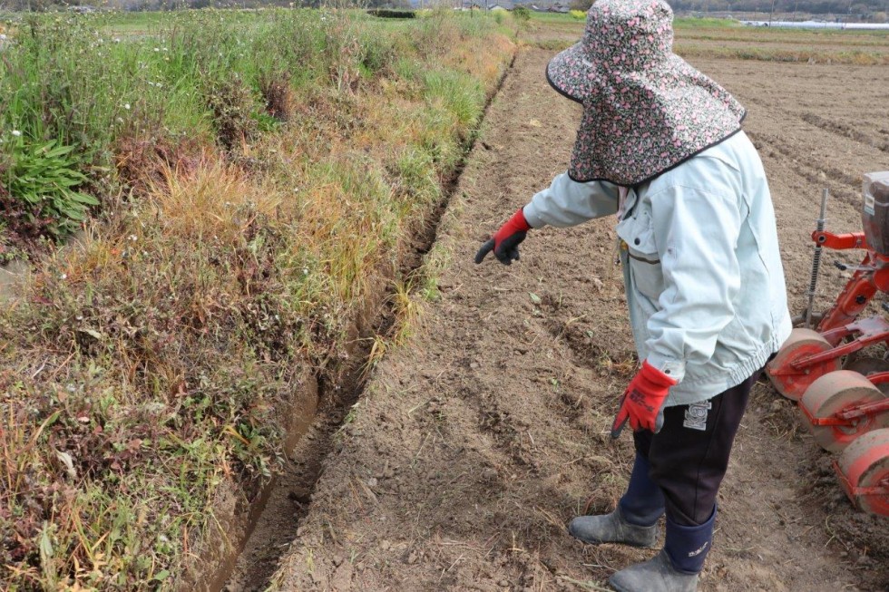 “そば産地・豊後高田”で、春そばの播種が始まりましたの画像10