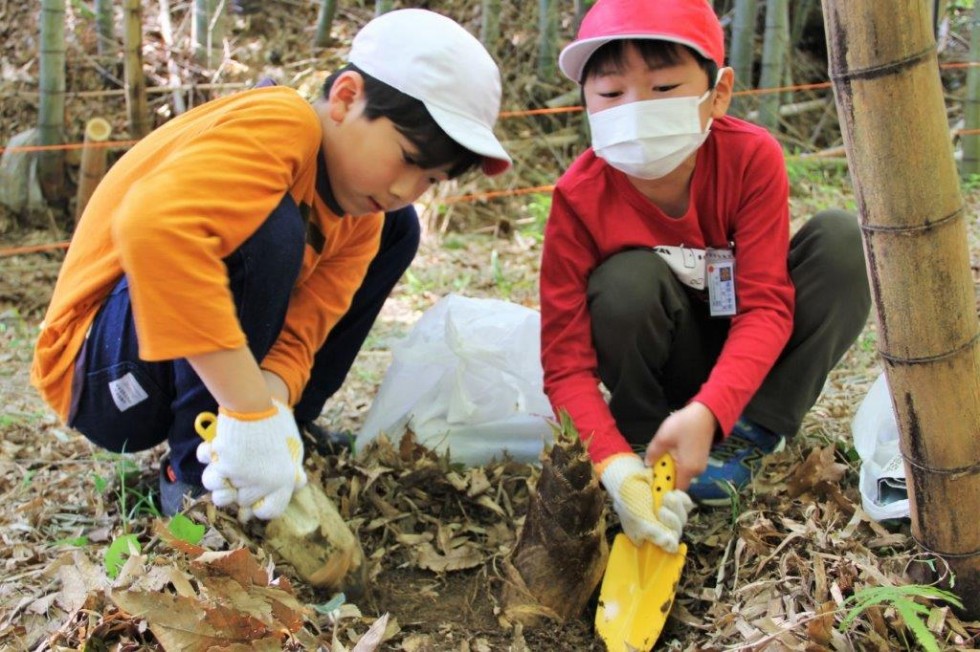 新緑の「千部もみじ村」でたけのこ掘り体験♪　－高田小学校－の画像8