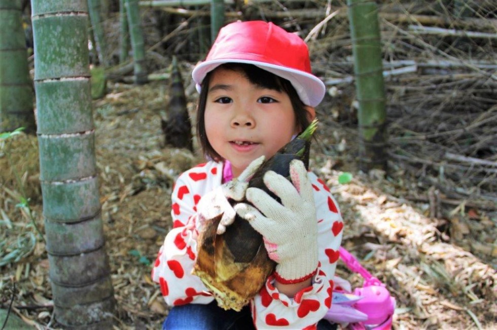 新緑の「千部もみじ村」でたけのこ掘り体験♪　－高田小学校－の画像14