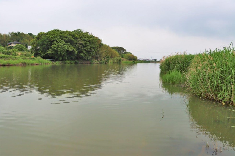 アユとウナギの稚魚放流が行われました　－桂川漁業協同組合－の画像3