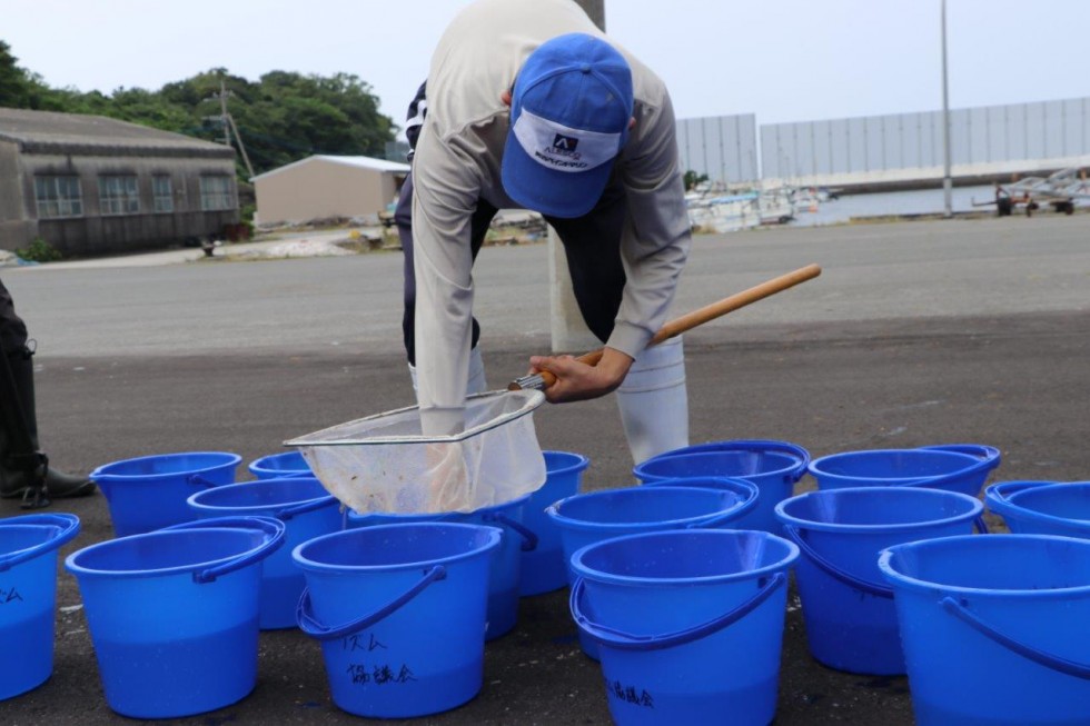 香々地小 稚ガニの放流（令和3年） ＝ 誇れる地元の特産品”岬ガザミ” ＝の画像3