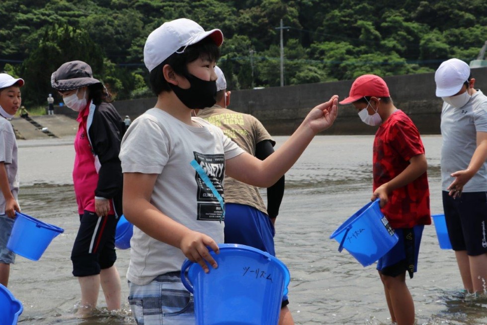 香々地小 稚ガニの放流（令和3年） ＝ 誇れる地元の特産品”岬ガザミ” ＝の画像5