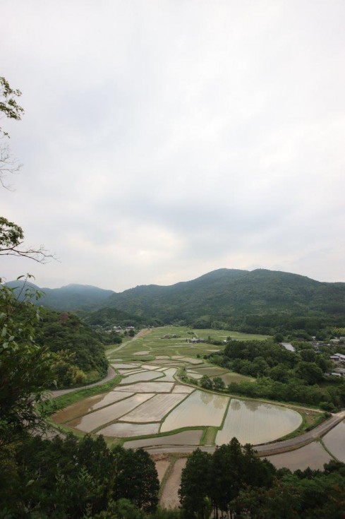 田染荘の田んぼに水が満たされました ～刻一刻と変化する夕陽が織りなす1，000年変わらない田園風景～の画像2