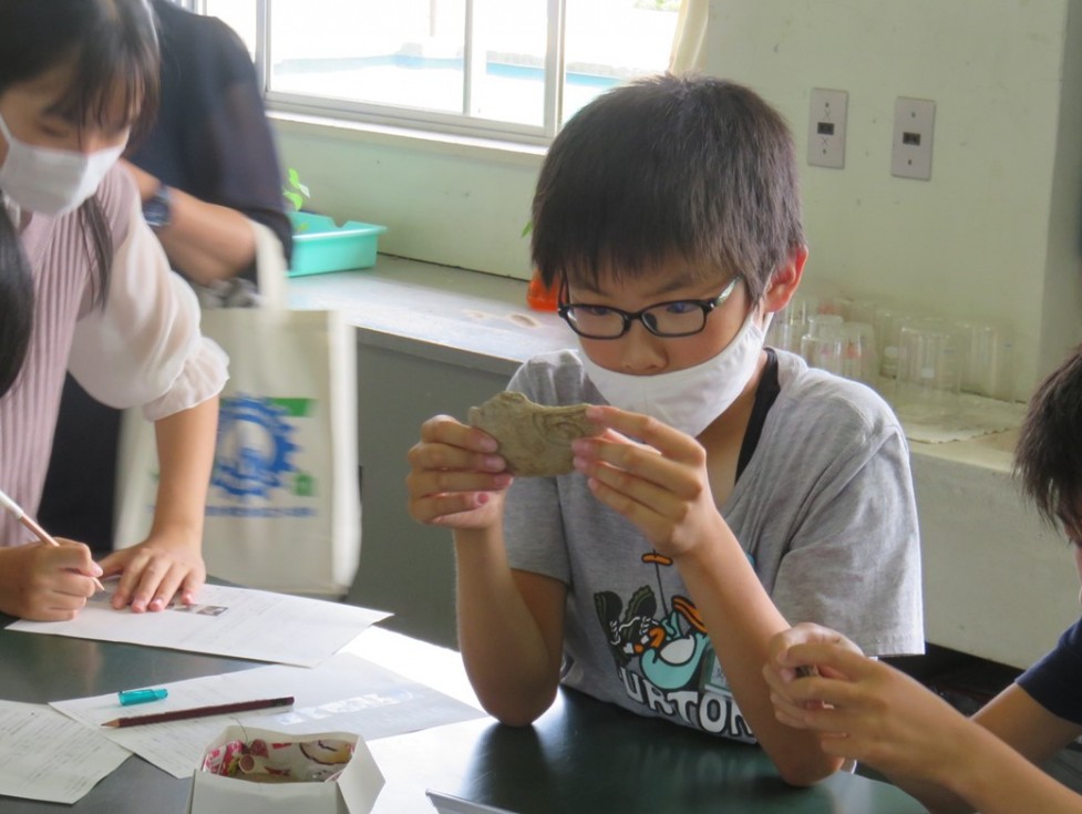 土器片の文様を熱心に観察していました。の画像