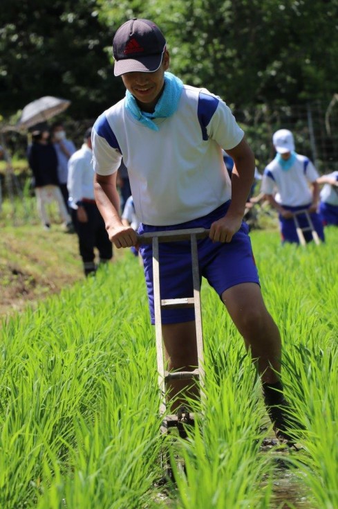 昔ながらの農業体験で地域と交流　～田染中学校　八反ずり農業体験学習～の画像8