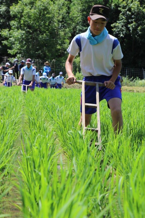 昔ながらの農業体験で地域と交流　～田染中学校　八反ずり農業体験学習～の画像9