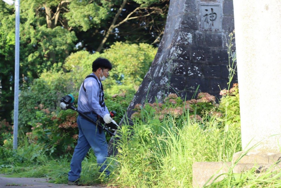 地域の力が美しい花を守る　～豊後高田ロータリークラブ　アジサイ剪定作業～の画像8