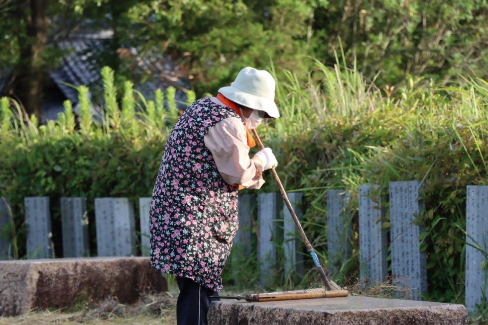 地域の力が美しい花を守る　～豊後高田ロータリークラブ　アジサイ剪定作業～の画像17