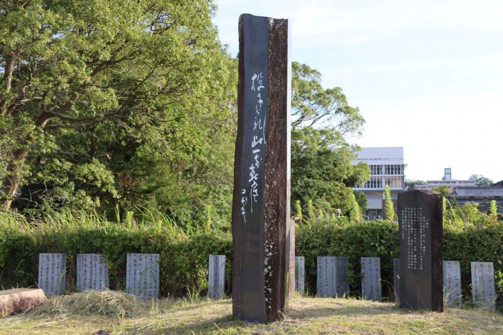 地域の力が美しい花を守る　～豊後高田ロータリークラブ　アジサイ剪定作業～の画像19