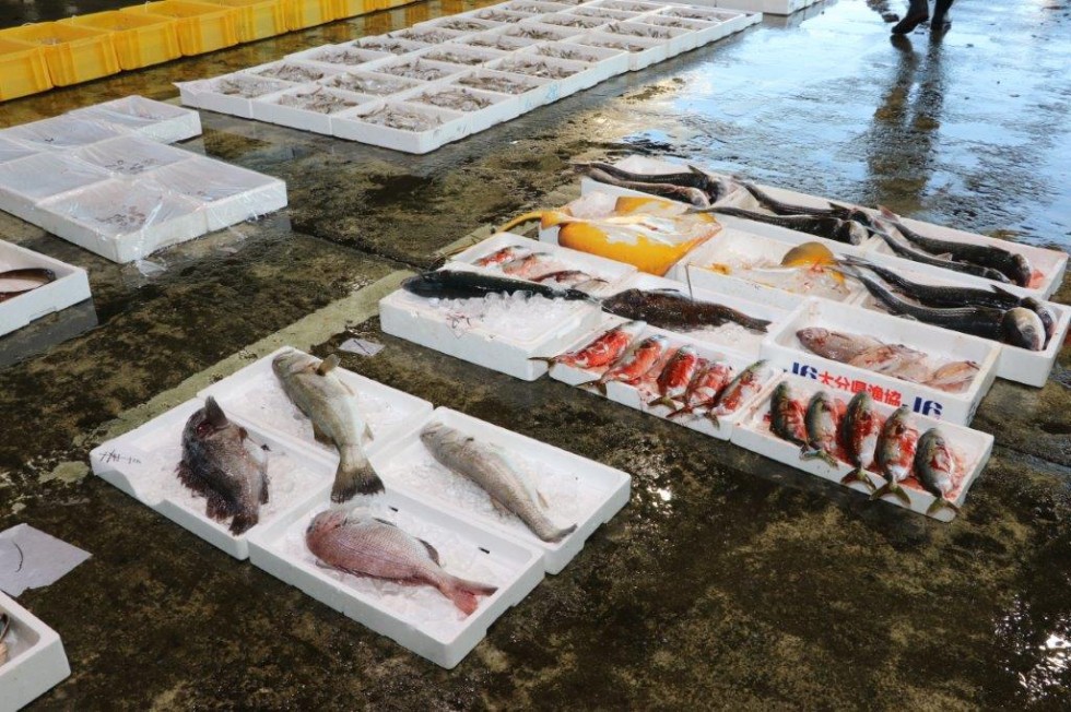 高田魚市場の画像4