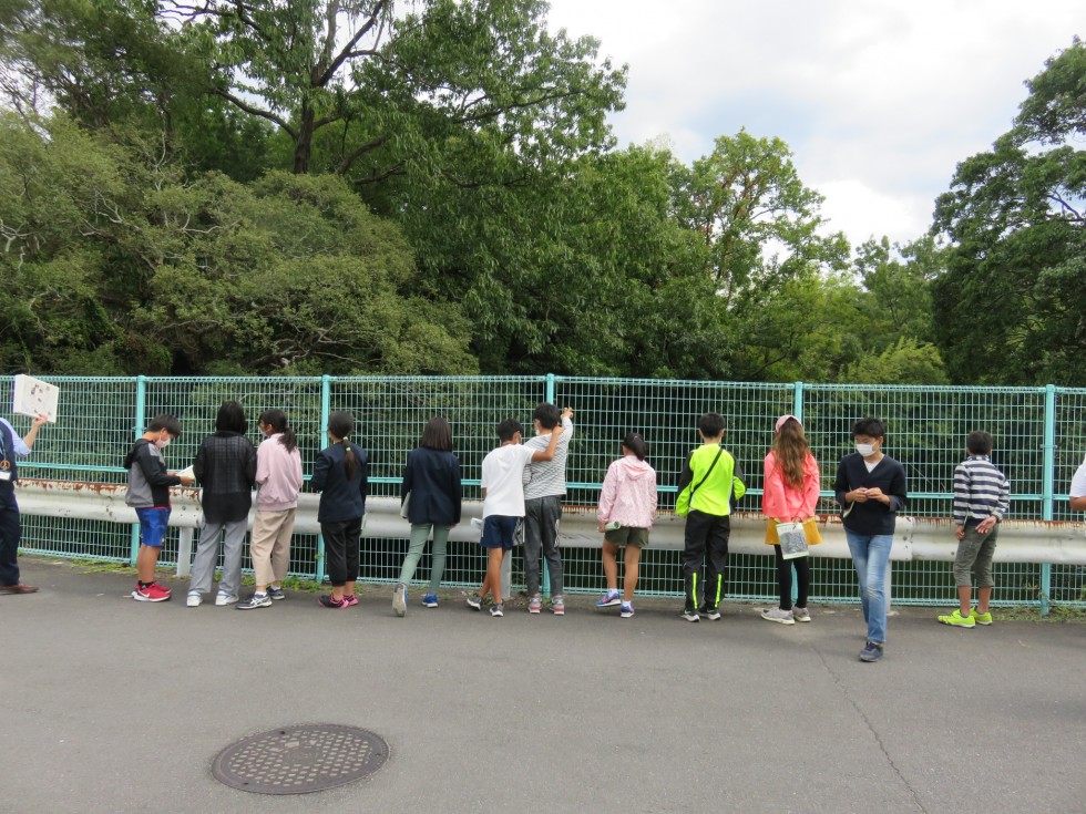 教室を飛び出して現地見学！の画像3