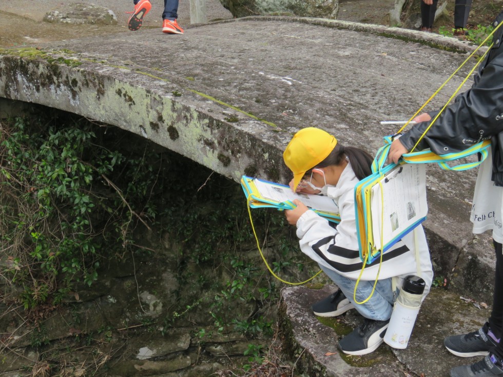 引瀬神社・保食宮参道石橋（市指定有形文化財）の画像3