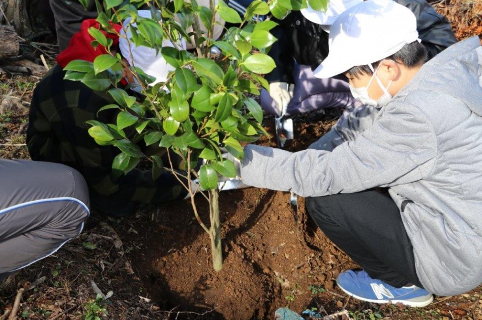 立派に大きく育ってね！西叡山植栽の集いの画像6