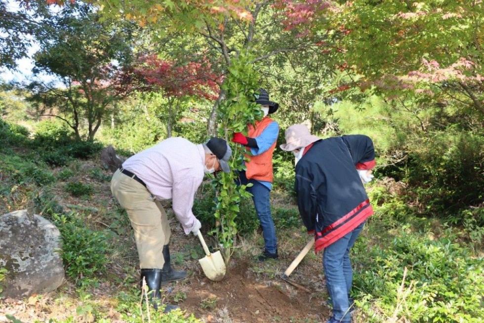 立派に大きく育ってね！西叡山植栽の集いの画像13