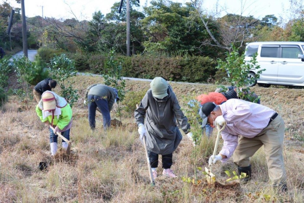 立派に大きく育ってね！西叡山植栽の集いの画像14