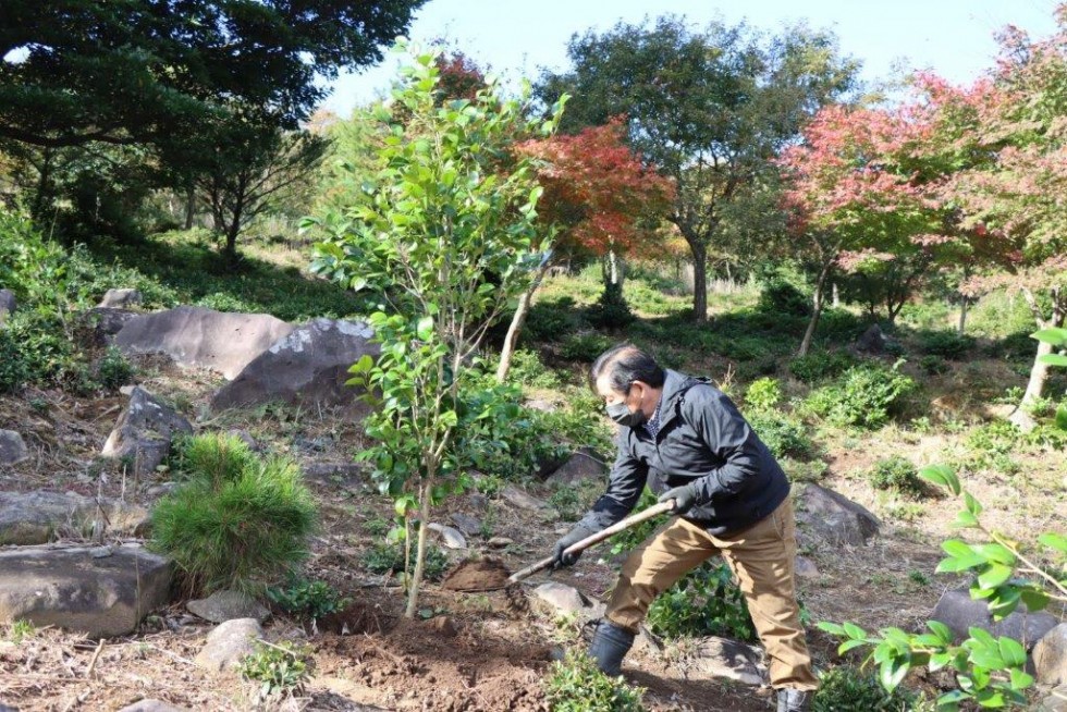 立派に大きく育ってね！西叡山植栽の集いの画像15