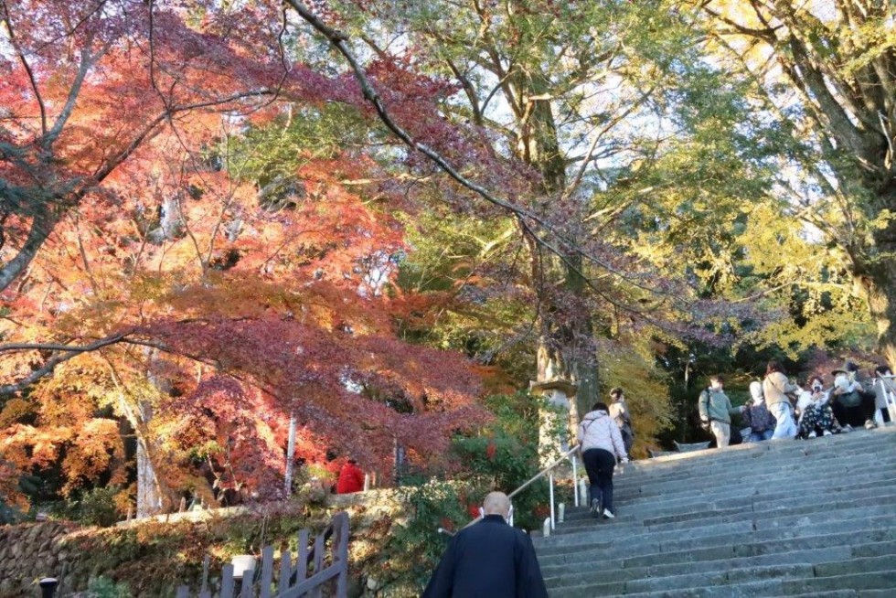 次回は12月4日・5に開催！～国宝・富貴寺大堂ライトアップ～の画像3