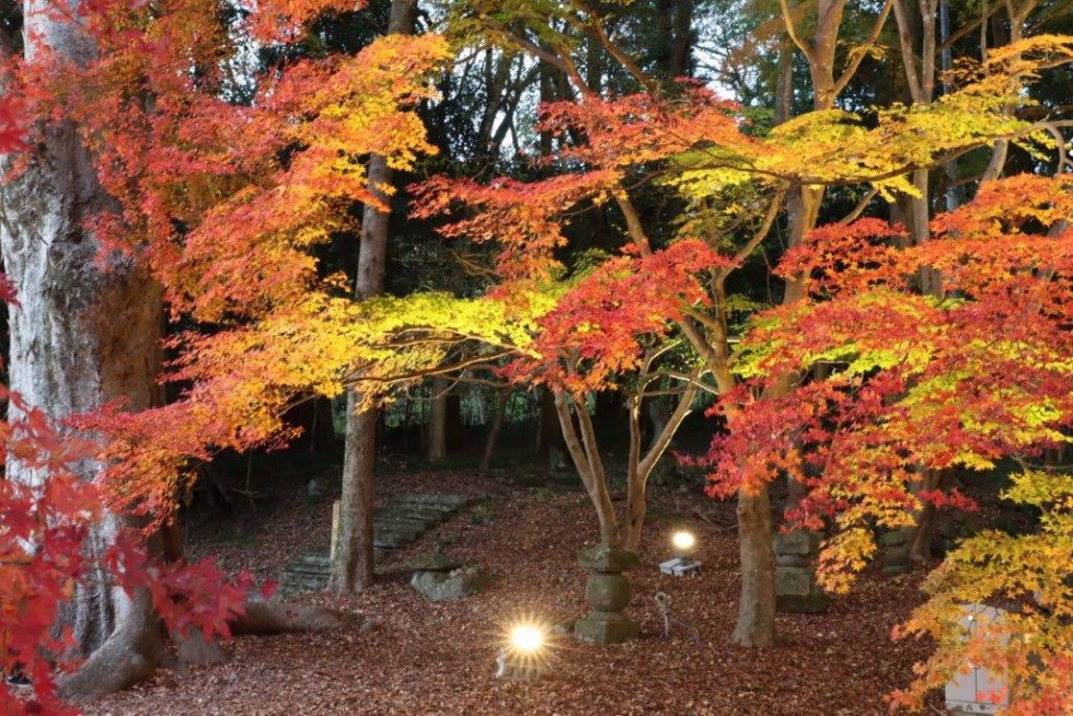 次回は12月4日・5に開催！～国宝・富貴寺大堂ライトアップ～の画像7