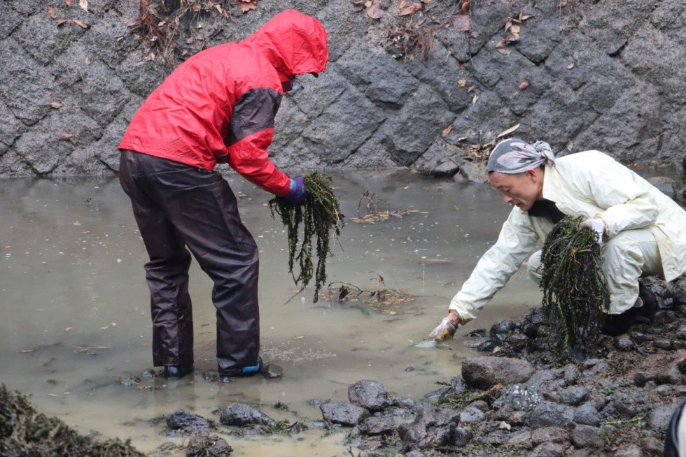 1300年の歴史をこれからも守り続けるため　～長岩屋川で藻の除去作業～の画像7