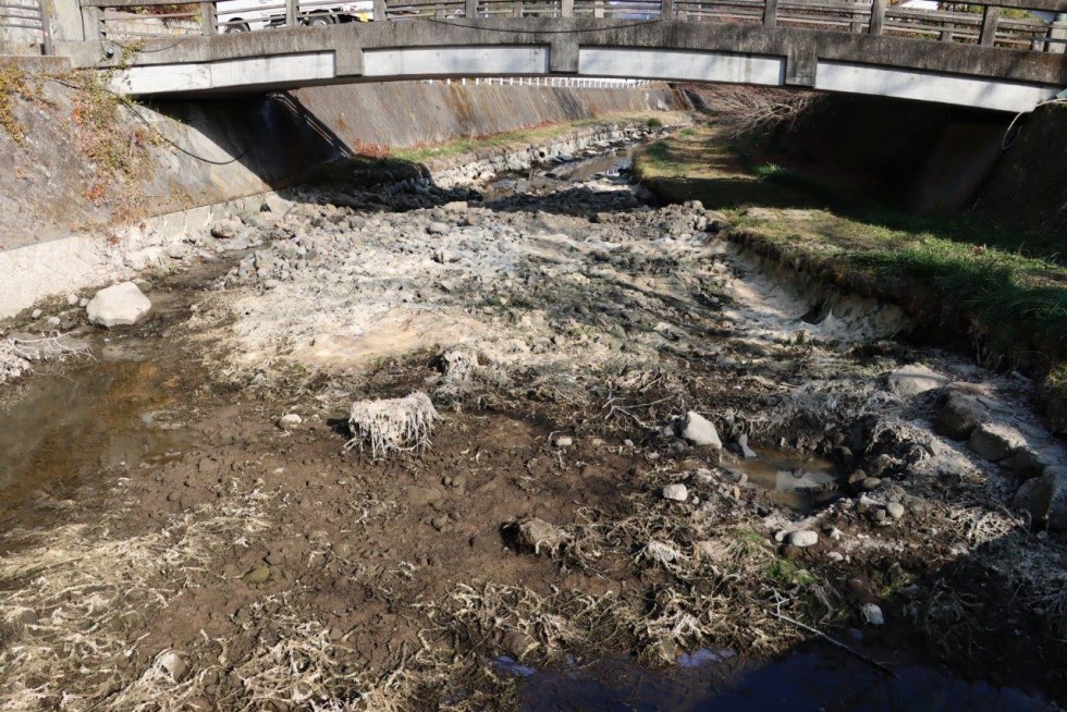 1300年の歴史をこれからも守り続けるため　～長岩屋川で藻の除去作業～の画像16