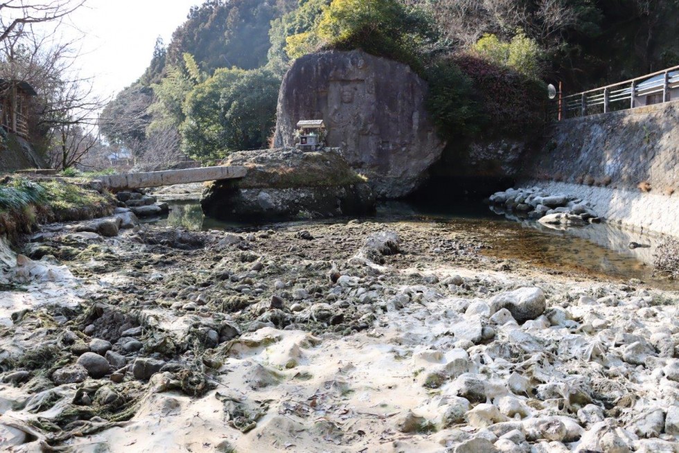 1300年の歴史をこれからも守り続けるため　～長岩屋川で藻の除去作業～の画像17