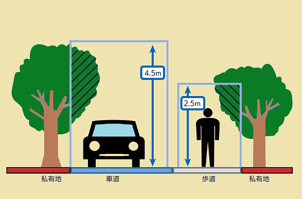 参考の画像