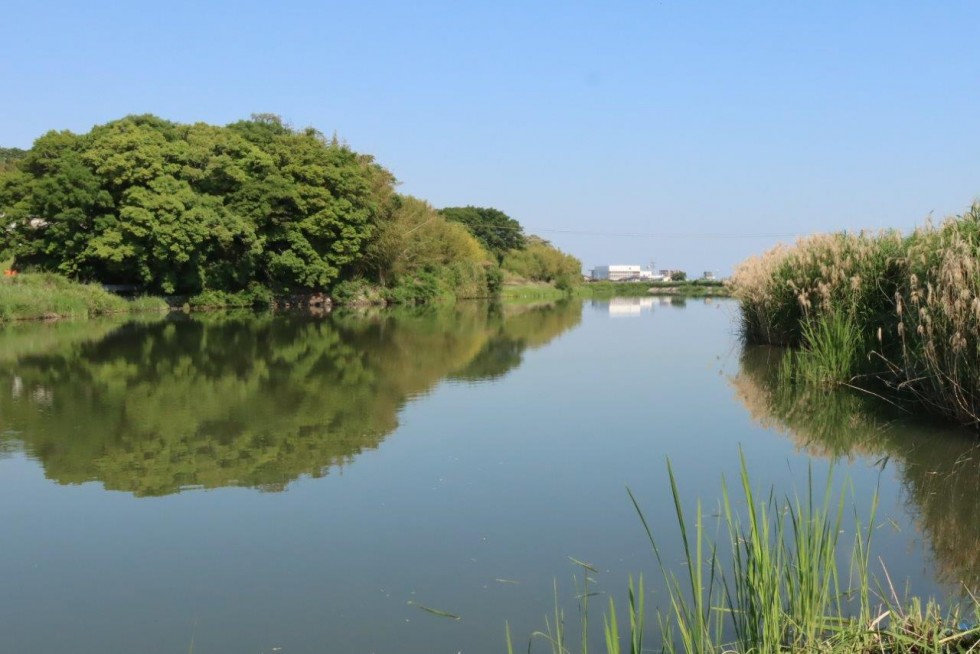 桂川で稚魚の放流が行われました（●▲■全角スペース禁止：スマホで体裁が崩れるため使用しないで下さい●▲■●▲■●▲■●▲■●▲■●▲■●▲■●▲■●▲■●▲■●▲■●▲■●▲■●▲■）－桂川漁業協同組合－の画像2