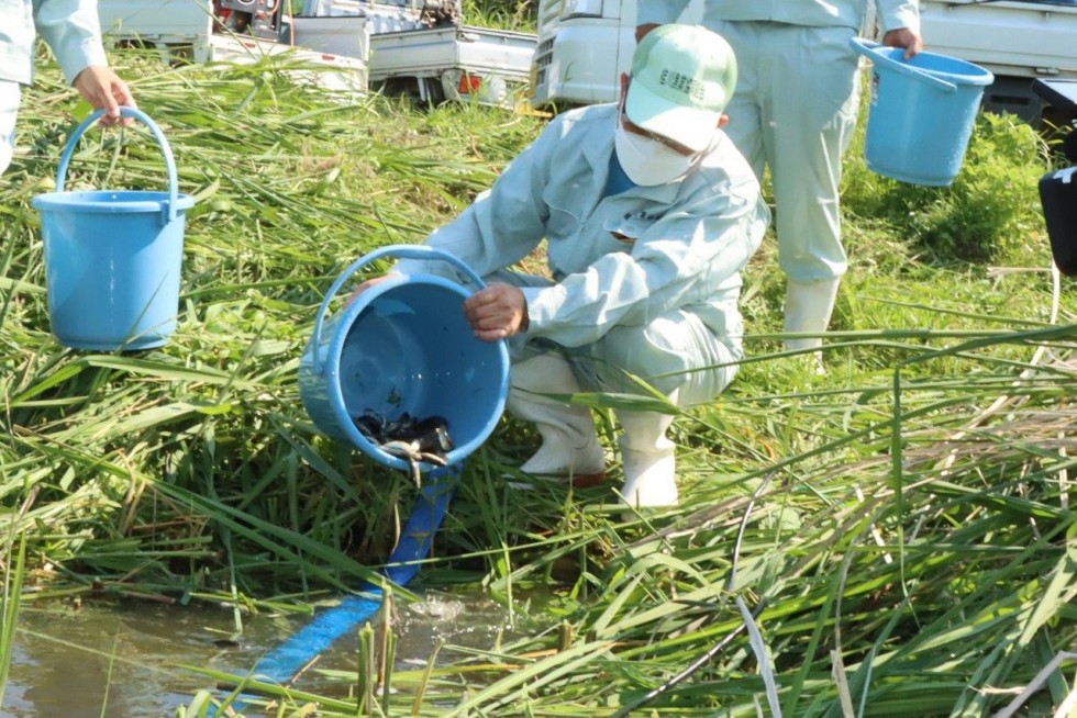 桂川で稚魚の放流が行われました（●▲■全角スペース禁止：スマホで体裁が崩れるため使用しないで下さい●▲■●▲■●▲■●▲■●▲■●▲■●▲■●▲■●▲■●▲■●▲■●▲■●▲■●▲■）－桂川漁業協同組合－の画像7